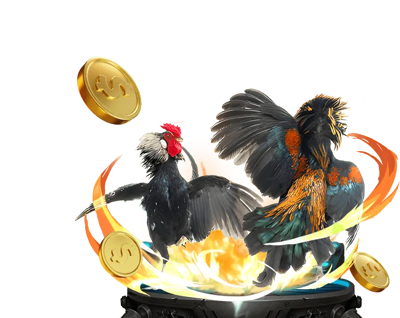 How to Increase Win Rate at Gwin Game